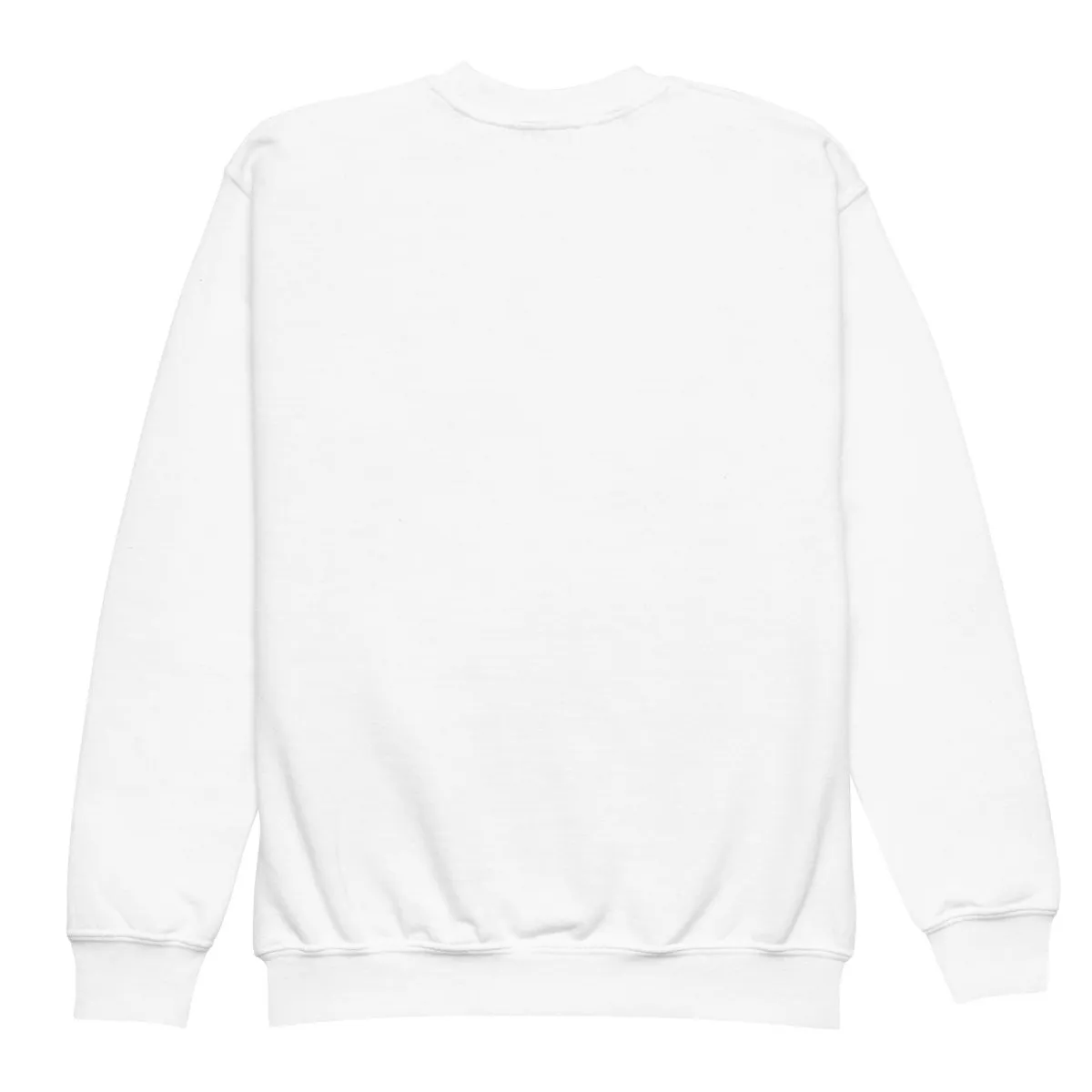 Embroidered Youth Crewneck Sweatshirt Ballerina Hedgehog