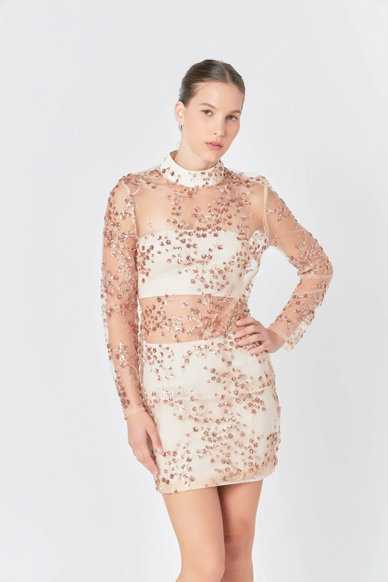 Endless Rose - Sequins Embroidered Mini Dress