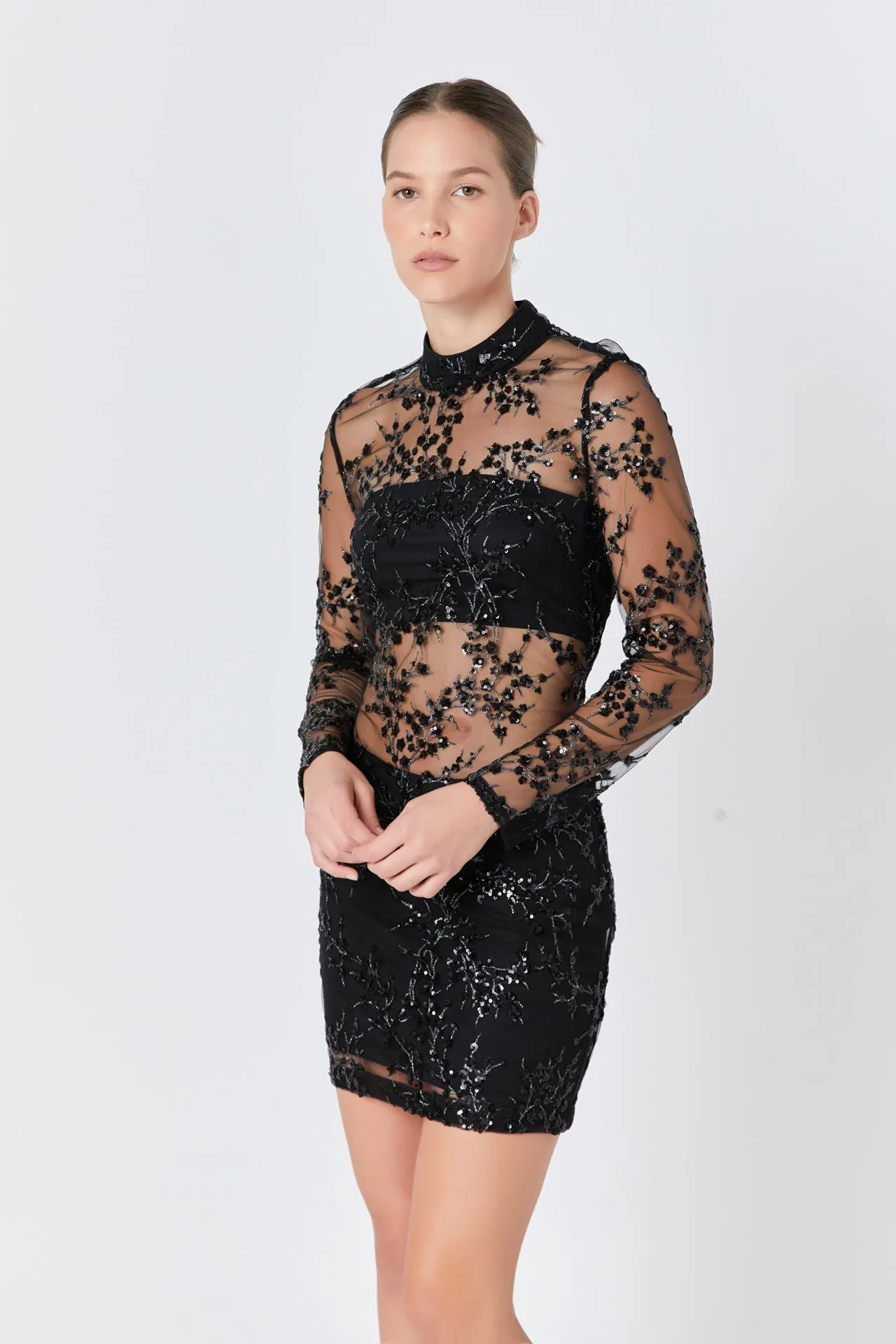 Endless Rose - Sequins Embroidered Mini Dress