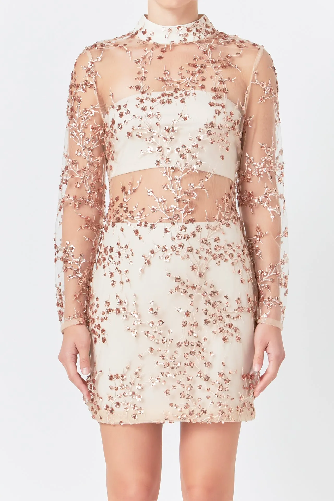 Endless Rose - Sequins Embroidered Mini Dress