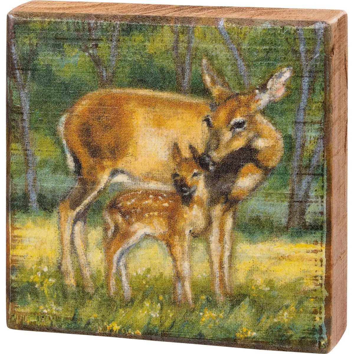 Primitives by Kathy Wooden Block Signs