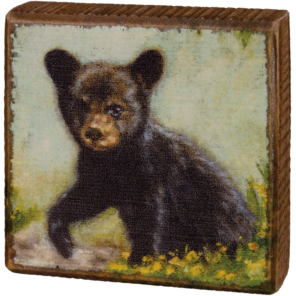 Primitives by Kathy Wooden Block Signs